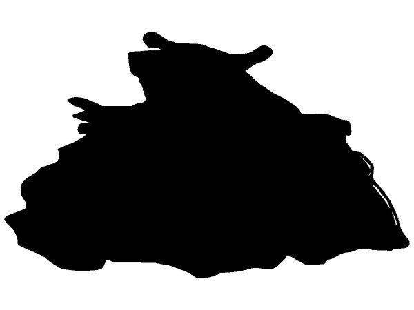 Животные 1269