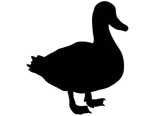 Животные 3593 Животные 3593