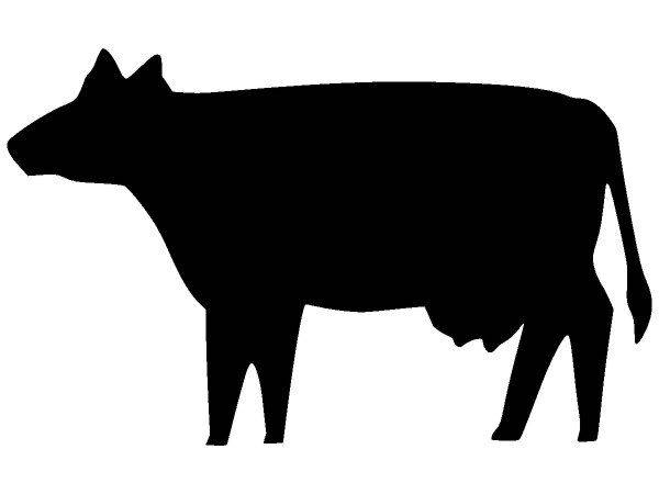 Животные 138 Животные 138