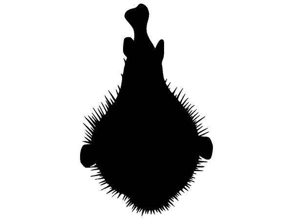 Животные 3278 Животные 3278