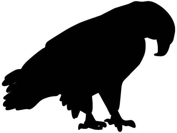 Животные 4122