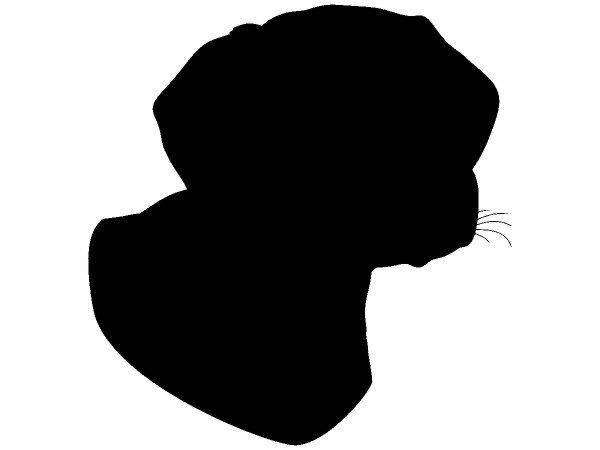 Животные 725