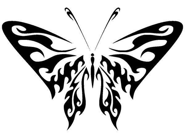 Животные 2570