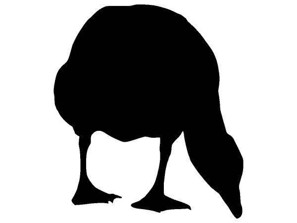 Животные 4317 Животные 4317