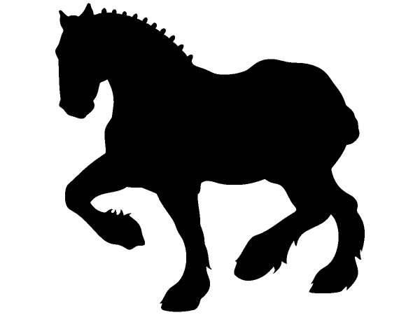 Животные 385