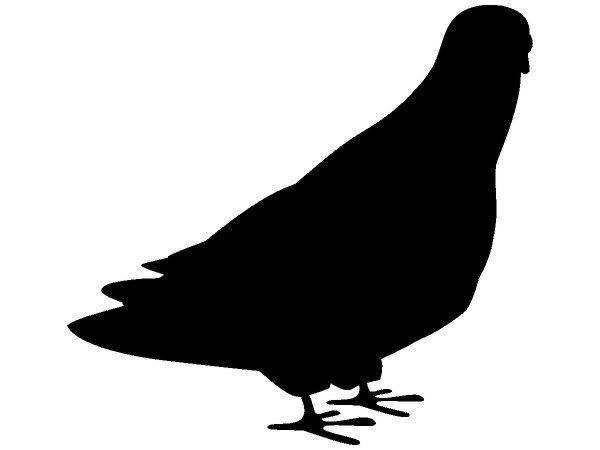 Животные 1740