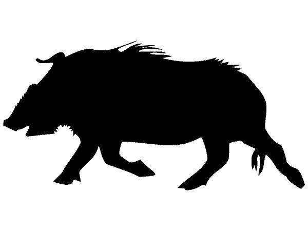 Животные 2542