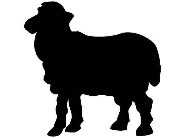 Животные 2432 Животные 2432