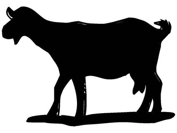 Животные 4062