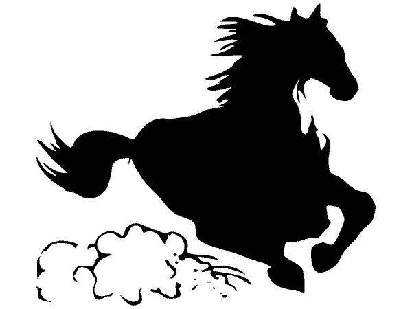 Животные 563 Животные 563