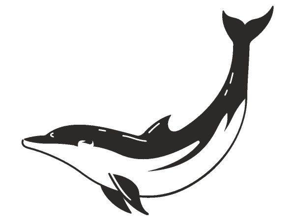 Татуировка 784