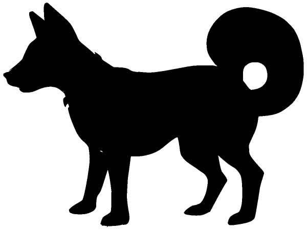 Животные 415