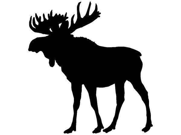 Животные 2829