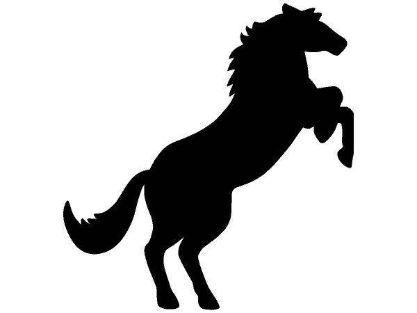 Животные 4194