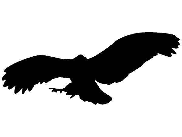 Животные 1580 Животные 1580