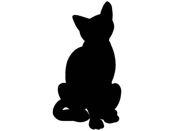 Животные 363 Животные 363