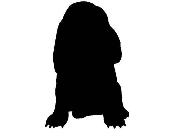 Животные 716 Животные 716