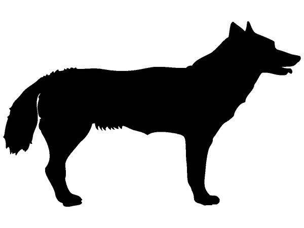 Животные 653 Животные 653