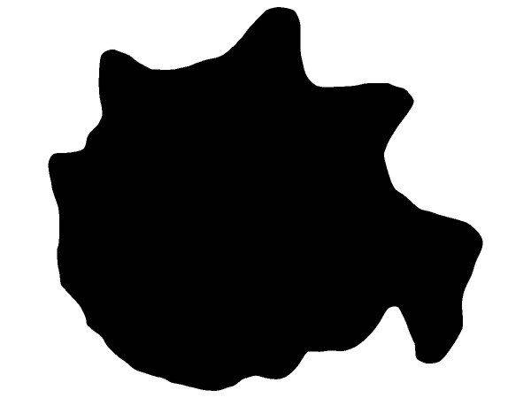 Животные 3080 Животные 3080