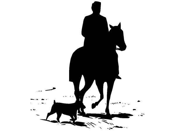 Животные 1609