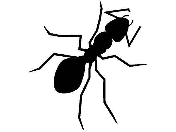 Животные 1646