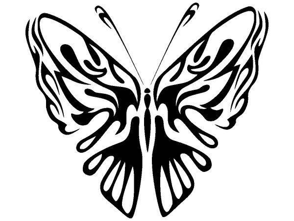 Животные 2569