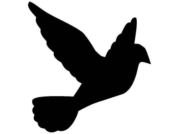 Животные 843