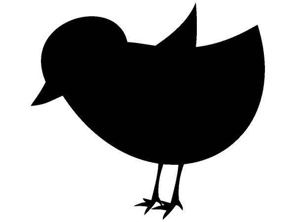 Животные 1104