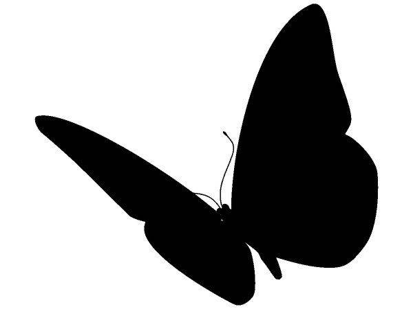 Животные 3615 Животные 3615