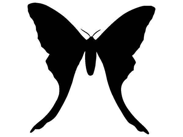 Животные 3238 Животные 3238