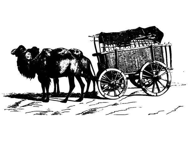 Животные 2888