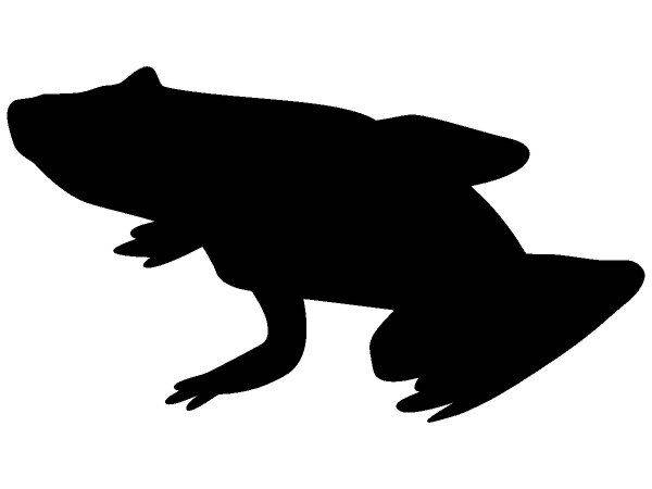 Животные 1466