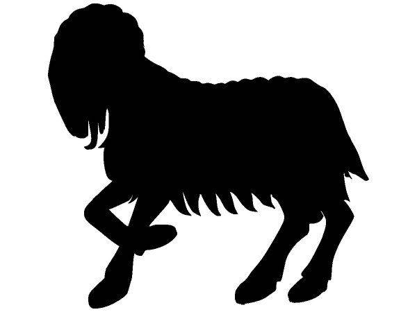 Животные 3684 Животные 3684