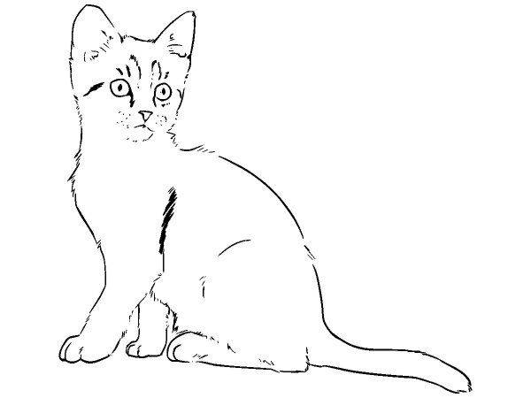 Животные 3265 Животные 3265