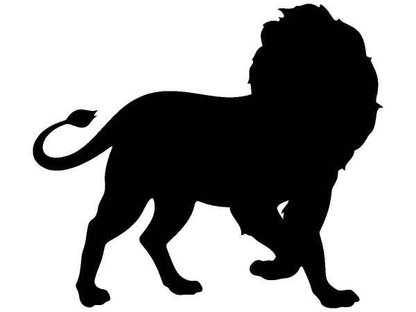 Животные 375