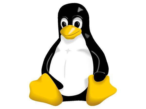 Linux Penguin logo Linux Penguin logo