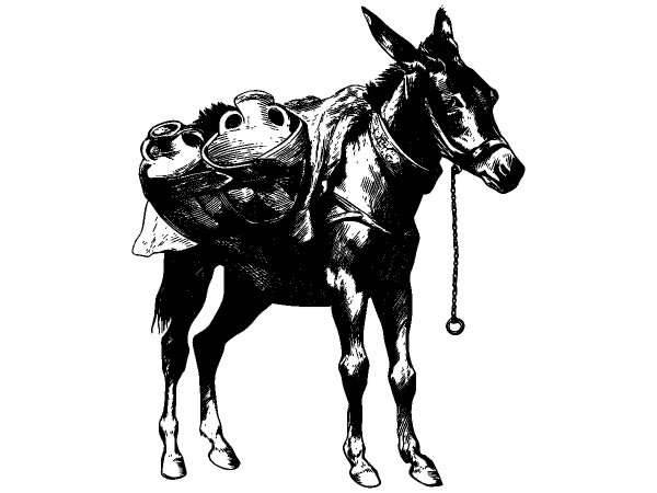 Животные 1218