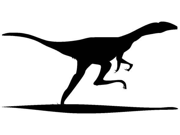 Животные 317