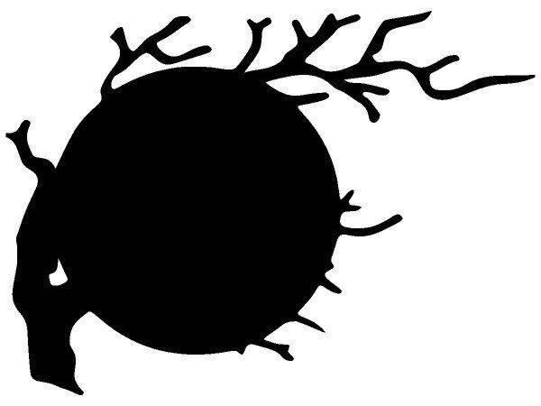 Животные 2222 Животные 2222