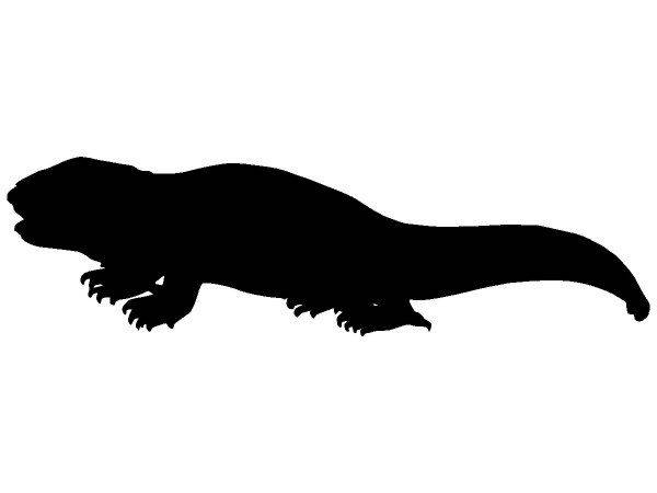 Животные 331