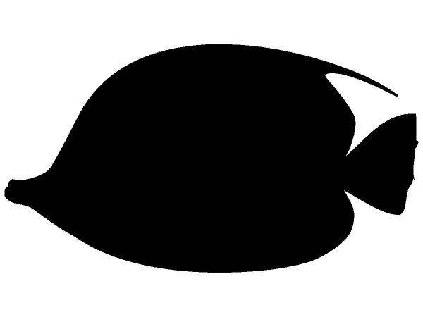 Животные 1424