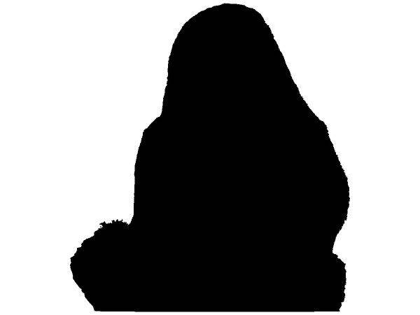 Животные 3295 Животные 3295