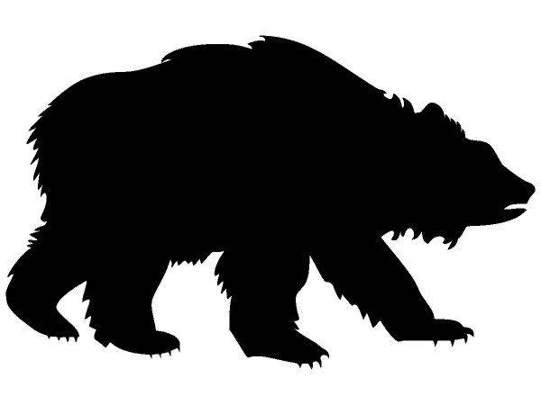 Животные 704 Животные 704