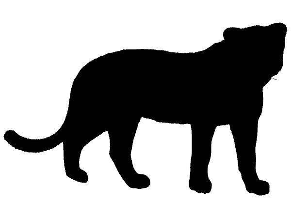 Животные 3356 Животные 3356