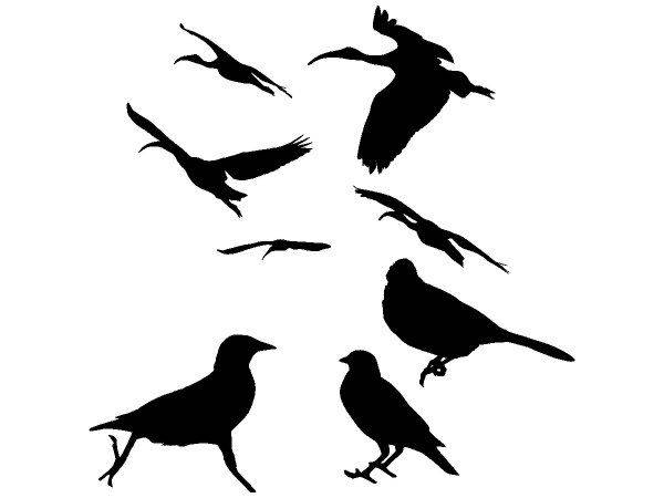 Животные 4154