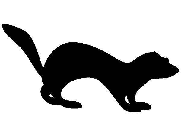 Животные 150 Животные 150