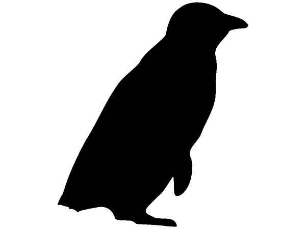 Животные 1198