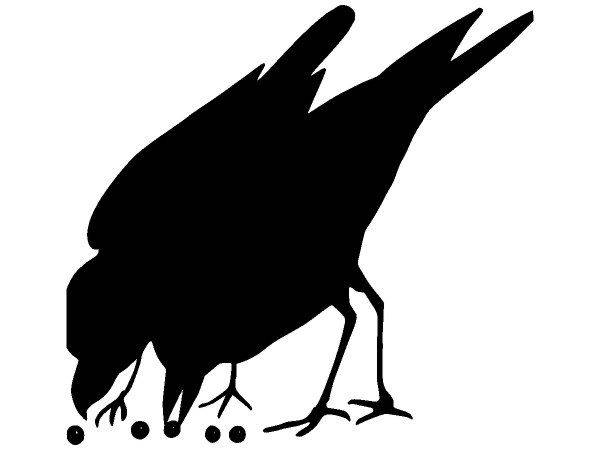 Животные 3442 Животные 3442