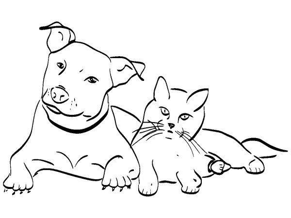 Животные 3268 Животные 3268