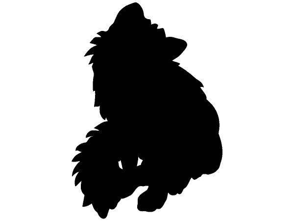 Животные 2551